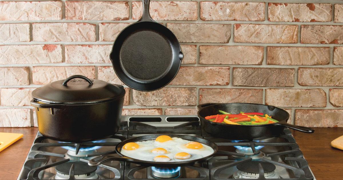 Lodge cast iron clearance casserole